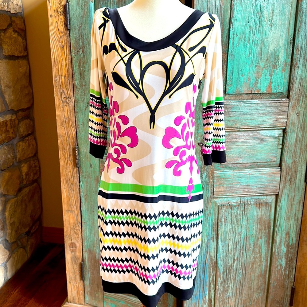 Analili Dress NWOT